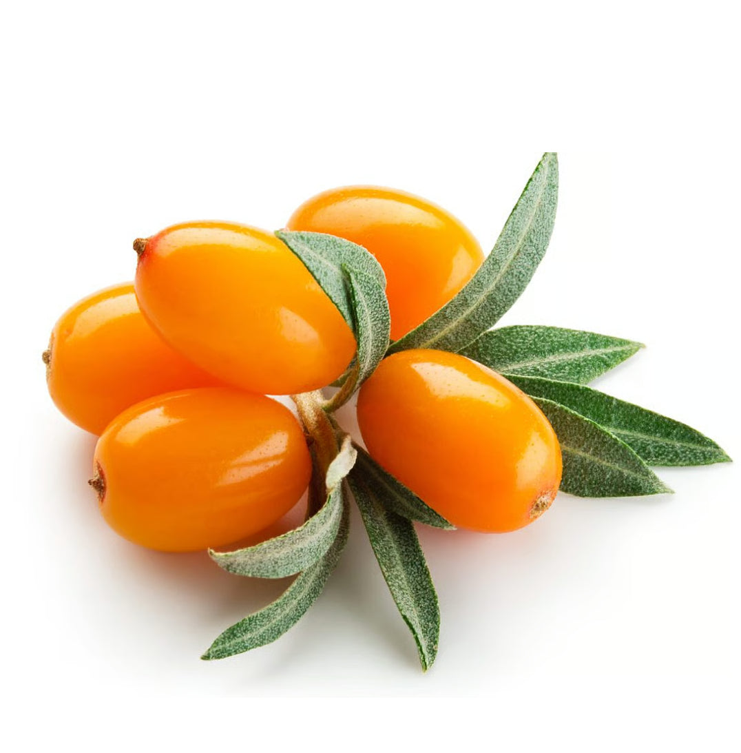 Sea Buckthorn Drops Hebal Drops| 60ml | Carewell Herbs
