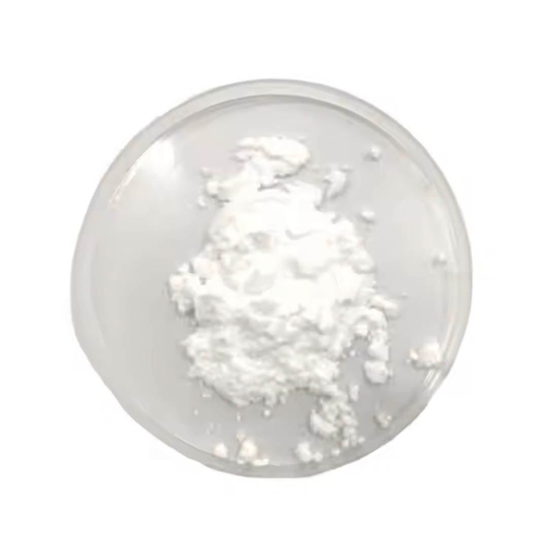 Biotin Powder – High Purity Bulk Supply | Carewell Herbs