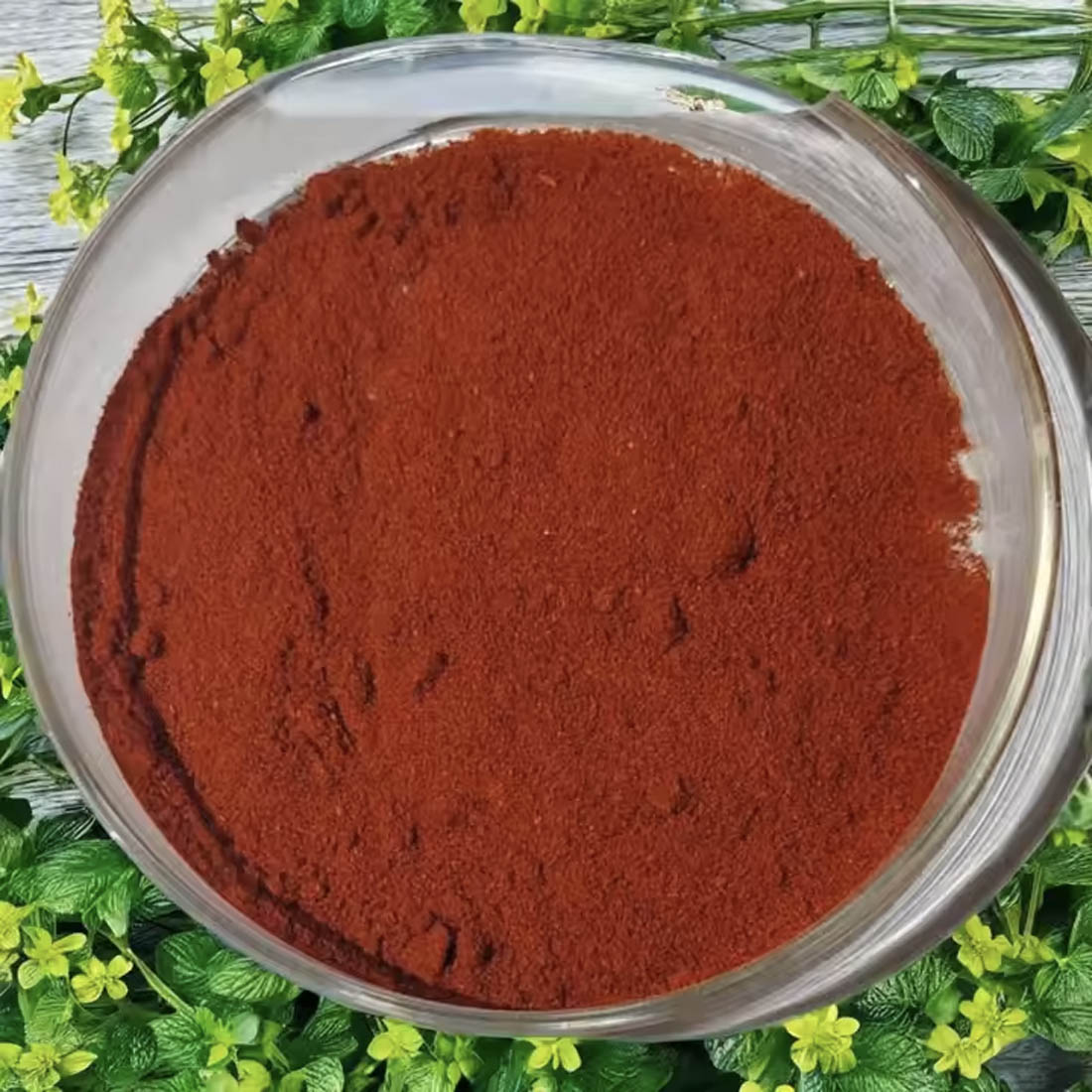Cayenne Pepper Powder – Premium Bulk Supply | Carewell Herbs