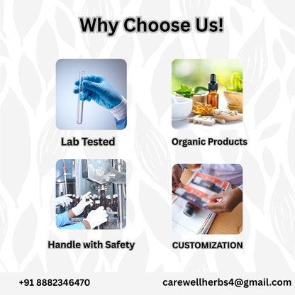 Prostate Care Capsules – Premium Quality | Global Shipping Available