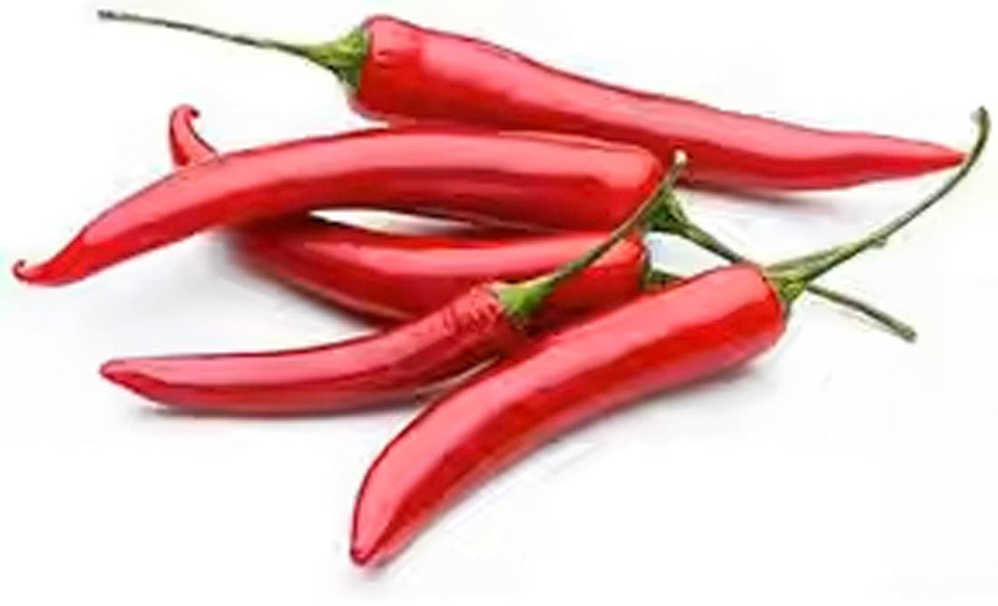 Cayenne Pepper Powder – Premium Bulk Supply | Carewell Herbs